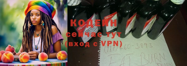 ECSTASY Бородино
