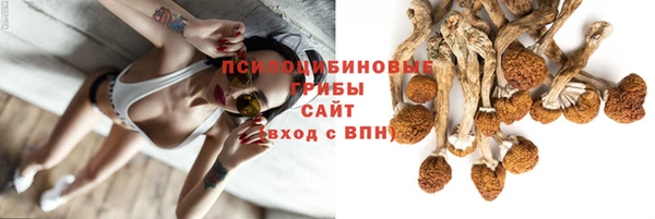 таблы Белокуриха