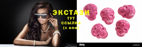 ECSTASY Бородино