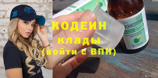 ECSTASY Бородино